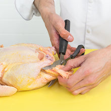 Load image into Gallery viewer, Choice 4" Stainless Steel Poultry Shears